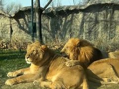 -北京野生动物园