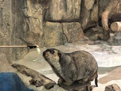 -正佳雨林生态植物园