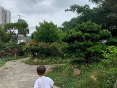 -绿华园休闲山庄