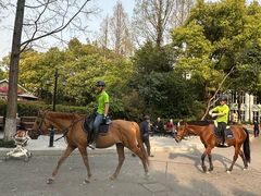 -J Create城市露营咖啡·简餐·宠物(上海动物园店)