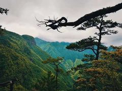 -云和湖仙宫景区