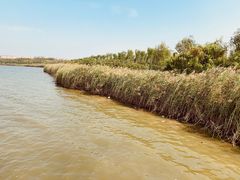 -天津东丽湖风景区