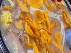 -九寨特色牦牛肉汤锅 羊肉汤锅