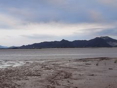 -蛇蟠岛