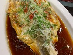 清蒸太湖白鱼-金枝玉叶上海人家食府(三里河店)
