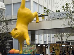 -深圳湾万象城(南山店)