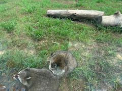 -秦皇岛野生动物园