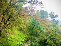 -广州市石门国家森林公园