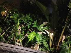 -广州从化都喜泰丽度假温泉酒店