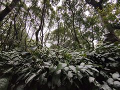 -黄兴公园
