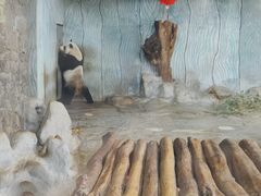 -海南热带野生动植物园