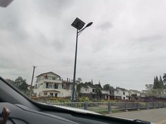 -桤木河湿地公园