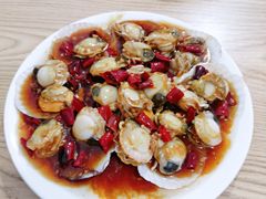 蚝油扇贝-九龙餐厅(大沽路店)