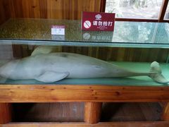 -北海金海湾红树林生态旅游区