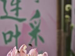 -钱王祠