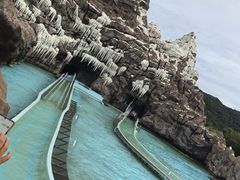 -珠海长隆海洋王国