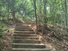 -上海佘山国家森林公园天马山园