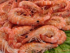 -渔家大院·烟台菜·本土海鲜(念慈别墅店)