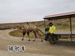-水洞沟旅游区