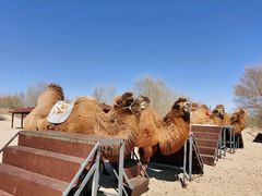 -库伦旗银沙湾旅游景区