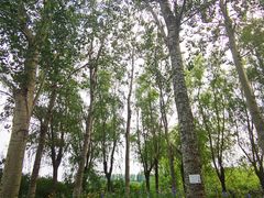 -翠湖国家城市湿地公园