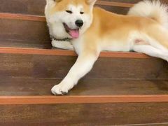 -YCHL Studios健身工作室(市二宫店)