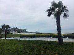 -山港凯悦酒店·BEBA海滩烧烤餐厅酒吧