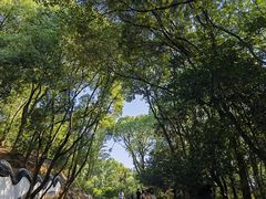 -岳麓山风景名胜区