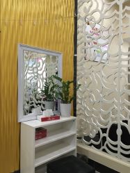 -再出发防脱发白发理疗中心