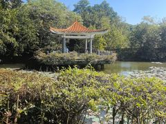 -大屏嶂森林公园