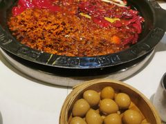 -卤校长老火锅(杨家坪直营店)
