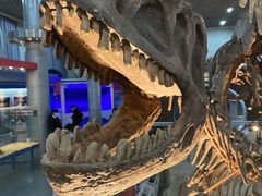 -国家自然博物馆