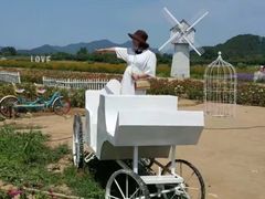 -北京东方普罗旺斯薰衣草庄园