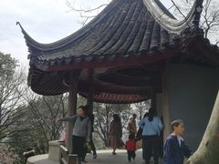 -香雪海