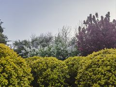 -迎泽公园