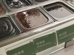 -Salud撒露欧洲冻酸奶(五道口购物中心店)
