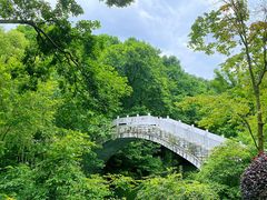 -阿哈湖国家湿地公园