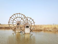 -宁波杭州湾国家湿地公园