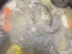 -荔城生鲜盛宴(番禺旗舰店)
