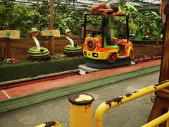 -南宫五洲植物乐园