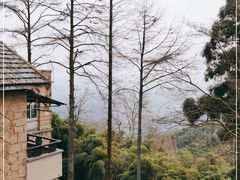 -莫干山风景区