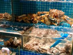 -烧货·活海鲜炭烧(湖滨商业街店)