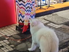 -美罗百货(观前店)