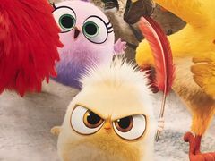 -锦尚阁烤鱼(望京新荟城店)