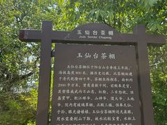-阳台山自然风景区