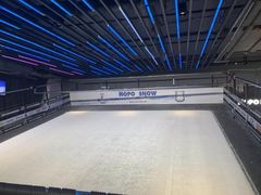 -Hopo Snow 城市滑雪空间(来福士广场购物中心店)