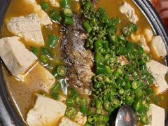 -探鱼·鲜青椒爽麻烤鱼(正佳广场店)