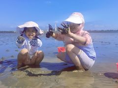 -奉贤海滩