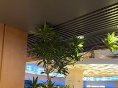 -山海•蒸汽活海鲜自助(皇庭广场店)