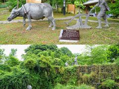 -广州神农草堂中医药博物馆